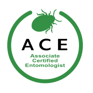 Get Rid of Bugs with Phoenix Pest Control | Maryville & Knoxville, TN